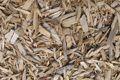 biomass boilers Sundhope
